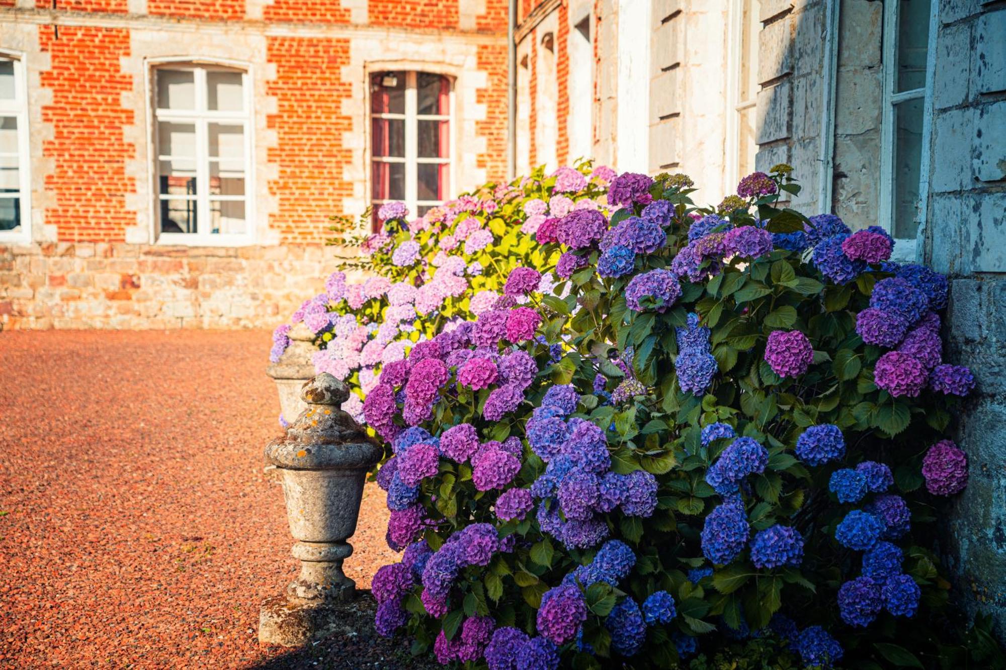 Chambres D'Hotes & Gites Du Chateau De Grand Rullecourt Ngoại thất bức ảnh